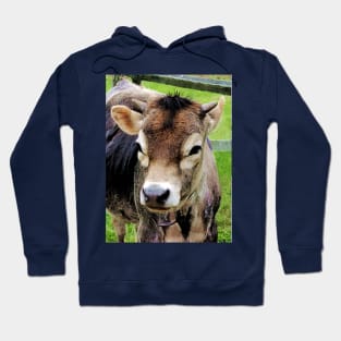 Cows - Calf Closeup Hoodie